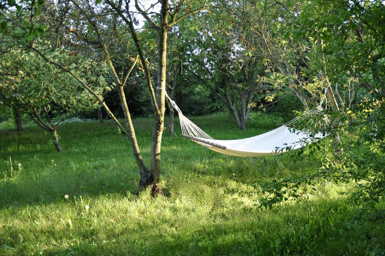 Trzeci sezon na Łące Leśmiana przy Muzeum Polin